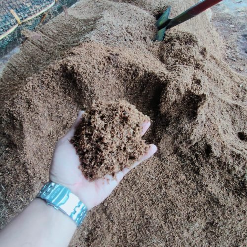 WhatsApp Image 2024-10-02 at 16.15.46 (1)