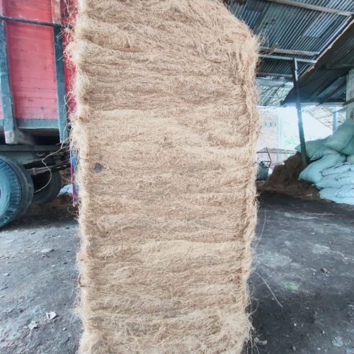 WhatsApp Image 2024-10-07 at 10.54.45