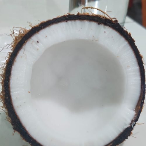 WhatsApp Image 2025-11-12 at 14.41.05 (1)