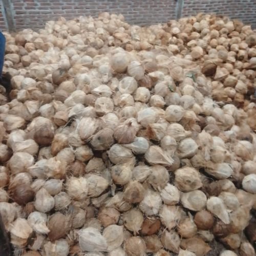 WhatsApp Image 2025-11-12 at 14.41.06 (1)