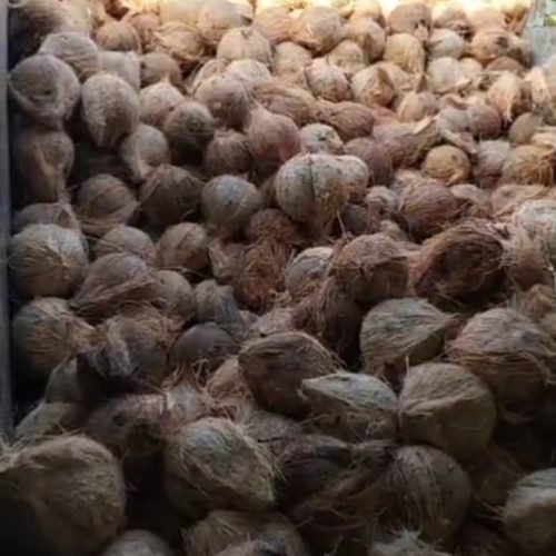 WhatsApp Image 2025-11-12 at 14.41.06 (2)