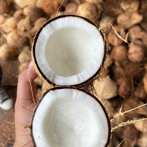 WhatsApp Image 2025-11-12 at 14.41.06