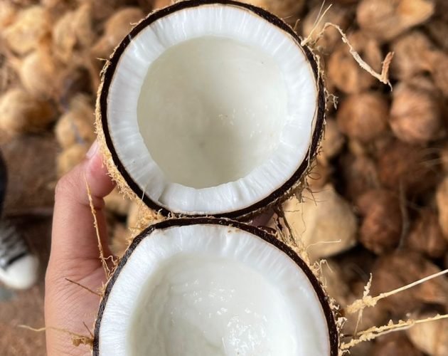 WhatsApp Image 2025-11-12 at 14.41.06