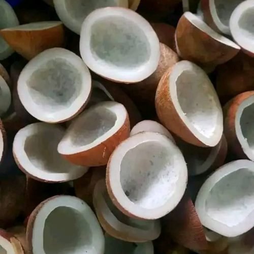 WhatsApp Image 2025-11-12 at 14.44.05 (1)