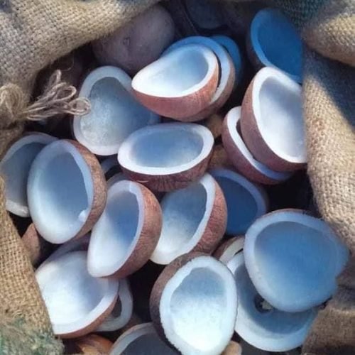 WhatsApp Image 2025-11-12 at 14.44.05