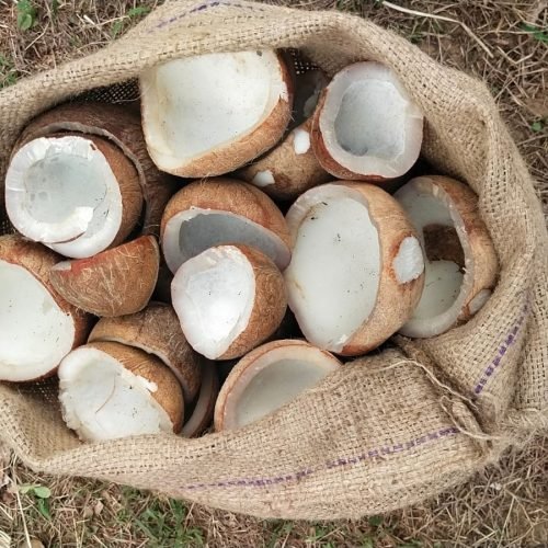 WhatsApp Image 2025-11-12 at 14.44.39