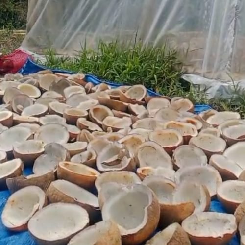 WhatsApp Image 2025-11-12 at 14.44.40 (1)