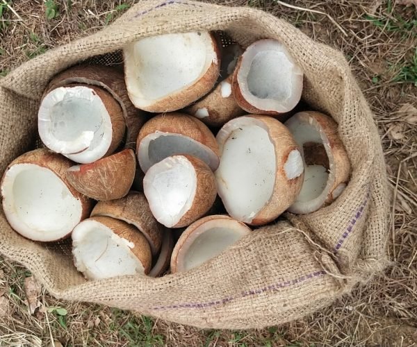 WhatsApp Image 2025-11-26 at 21.59.05_8ec14447